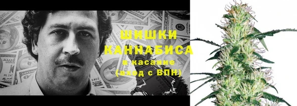 эйфоретик Осташков